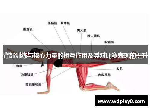 背部训练与核心力量的相互作用及其对比赛表现的提升