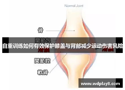 自重训练如何有效保护膝盖与背部减少运动伤害风险