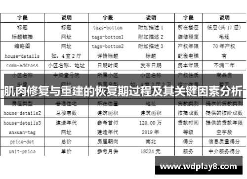 肌肉修复与重建的恢复期过程及其关键因素分析